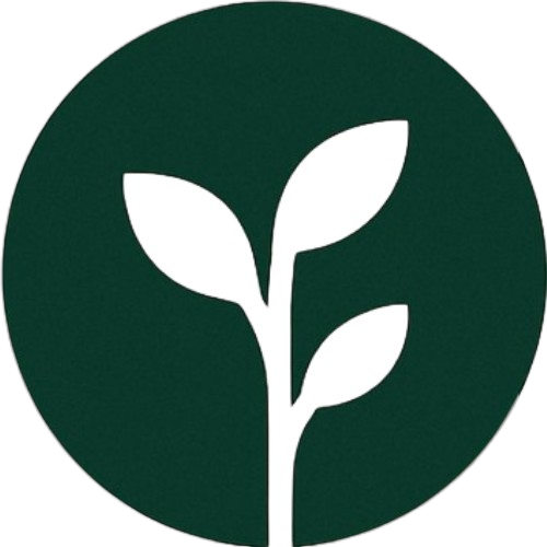 Organic Mídia
